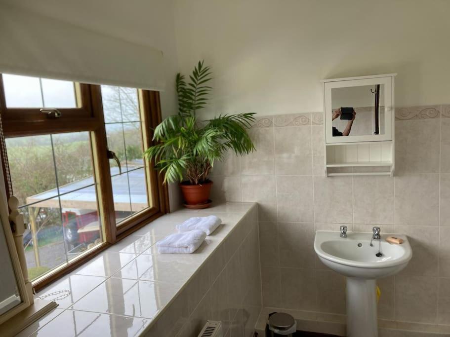 Bryntirion Farmhouse Rooms Llanfair Caereinion Exteriér fotografie